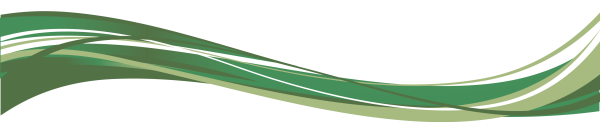 Красивая зеленая линия