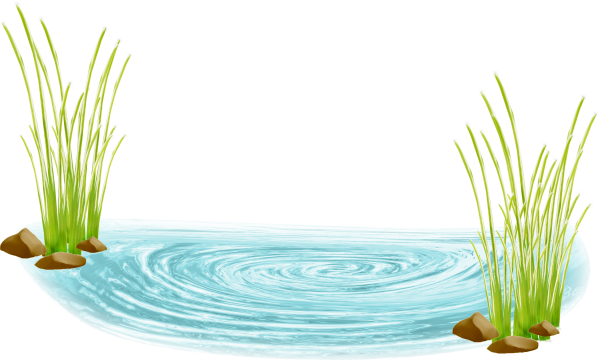 Водоем вектор