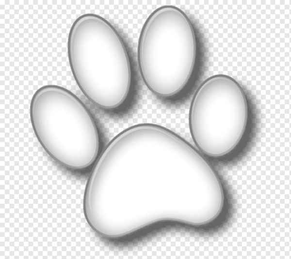 Белые лапки