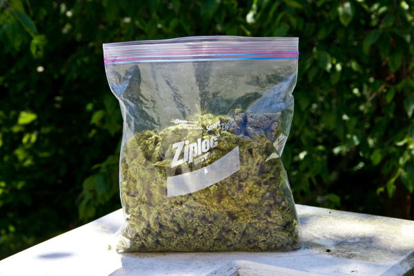 Марихуана в пакете