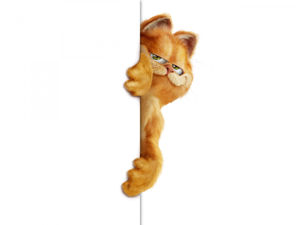 Кот выглядывает