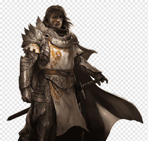 DND Паладин