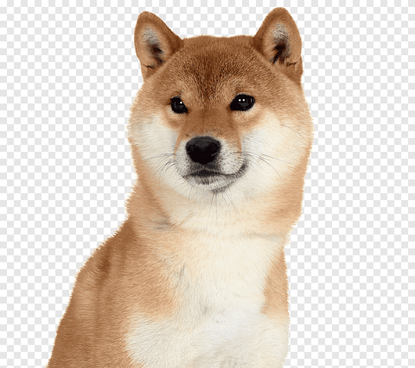 Сиба ину