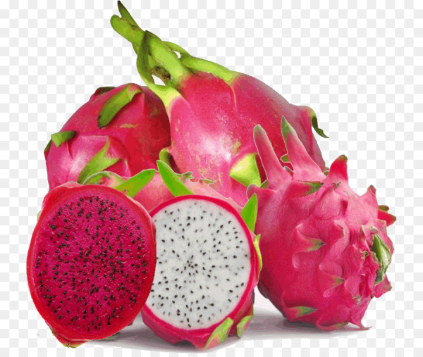 Питайя питахайя