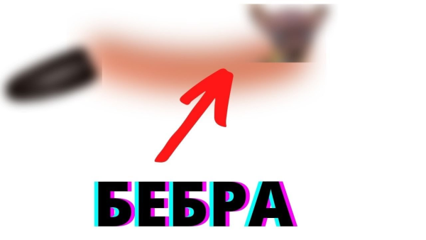 Бэбра Мем