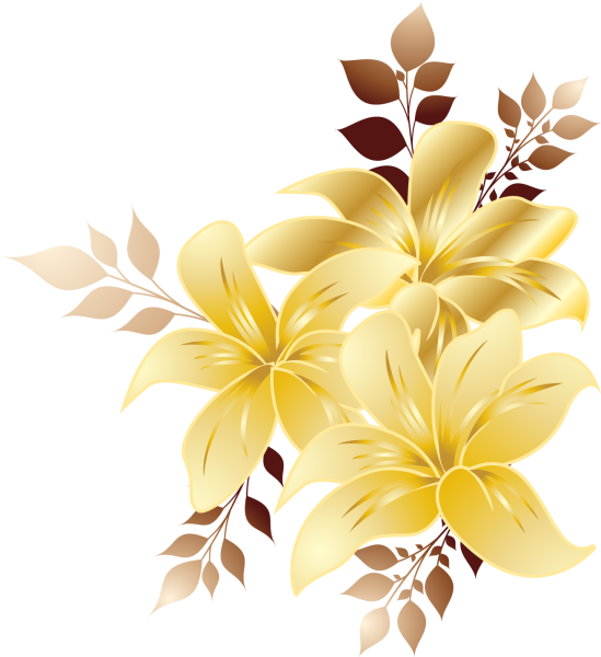 Клипарт цветы на прозрачном фоне