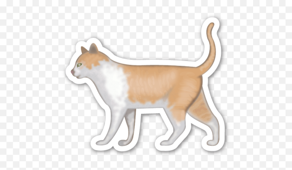 Кот смайлик айфон