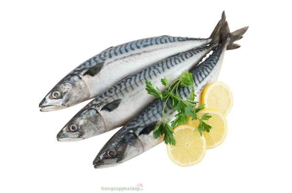 Сельдь и скумбрия
