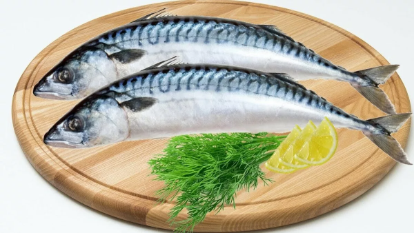 Скумбрия Иваси