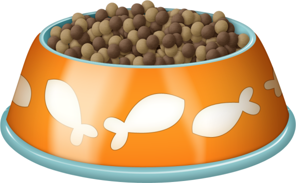 Миска с кормом