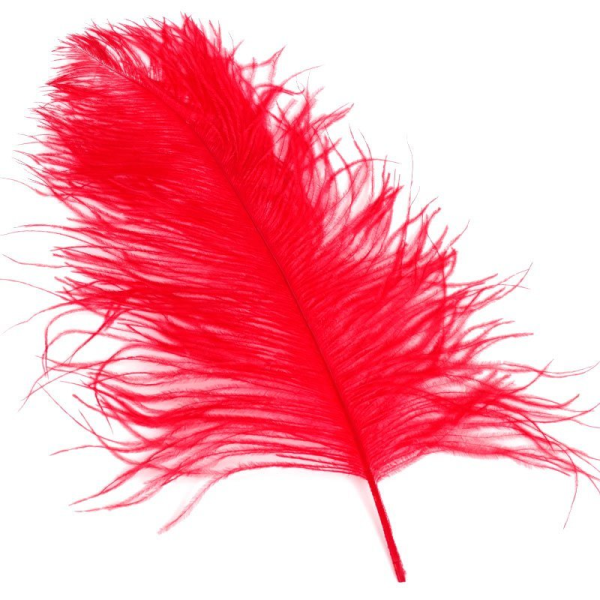 Перья красные декоративные