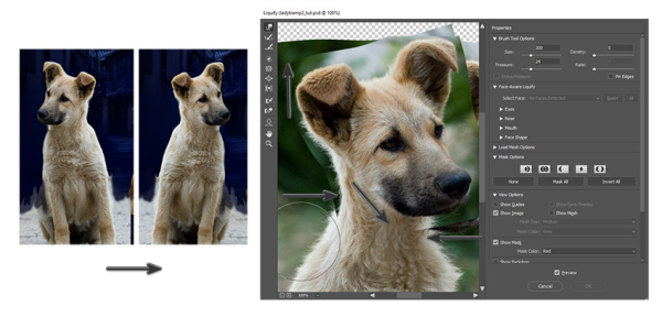 Отражение объекта фотошоп