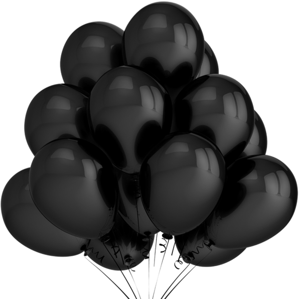 “Черный шар” (the Black Balloon), 2008
