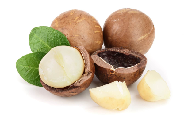 Орех макадамия на белом фоне