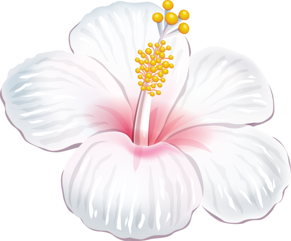 Цветы клипарт