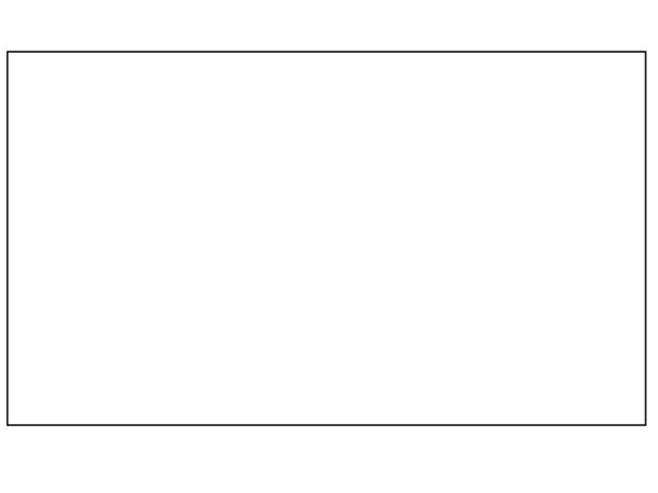 Черно белый прямоугольник