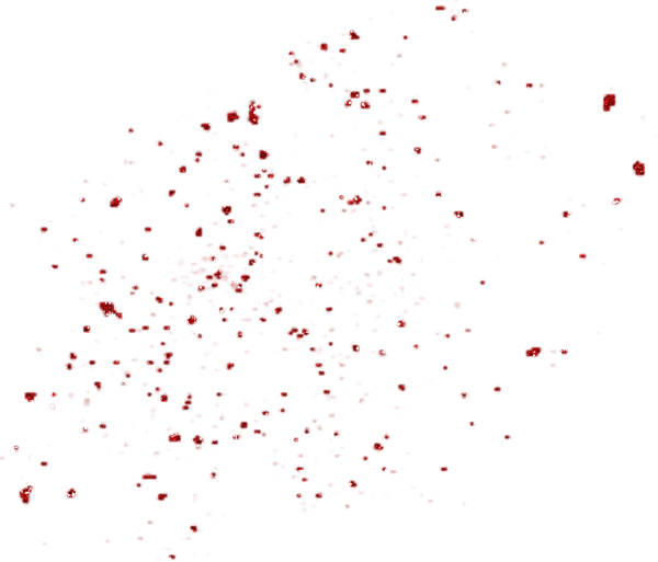 Россыпь на прозрачном фоне