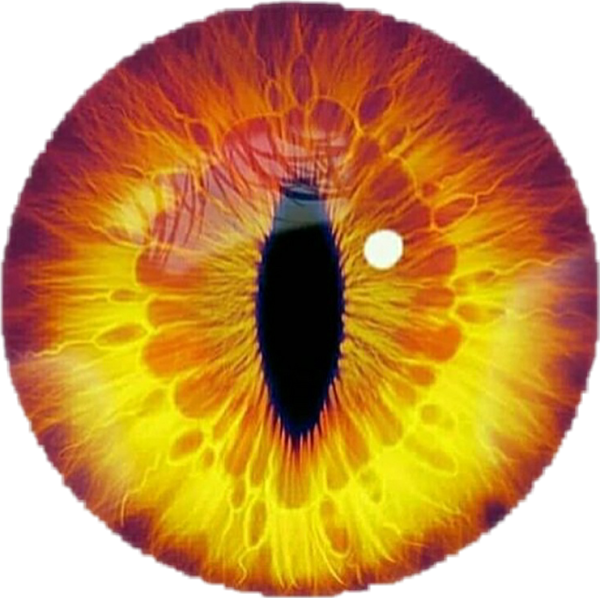 Желтые зрачки