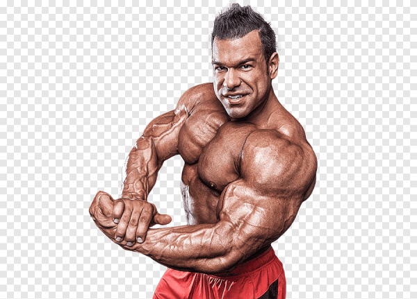 Бодибилдер на прозрачном фоне