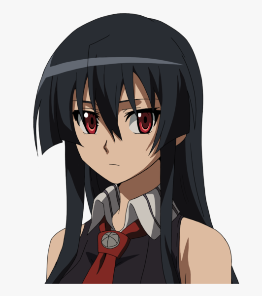 Убийца акаме акаме