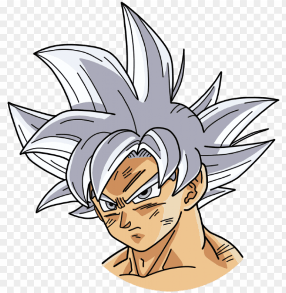 Goku Mastered Ultra Instinct hair