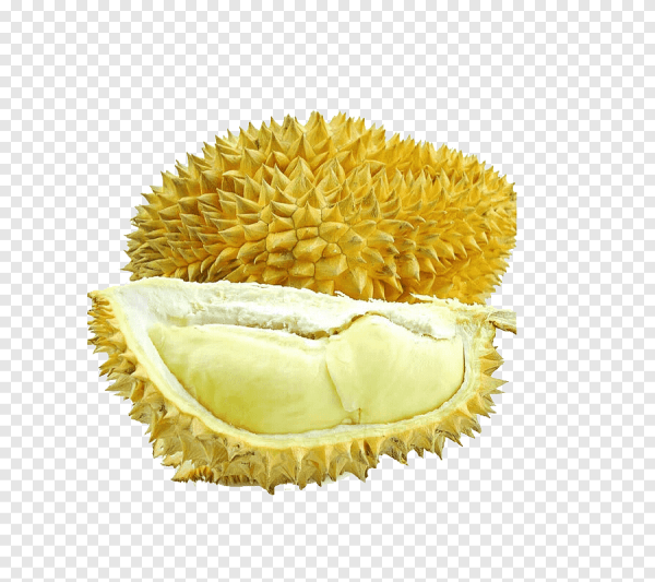 Дуриан фрукт