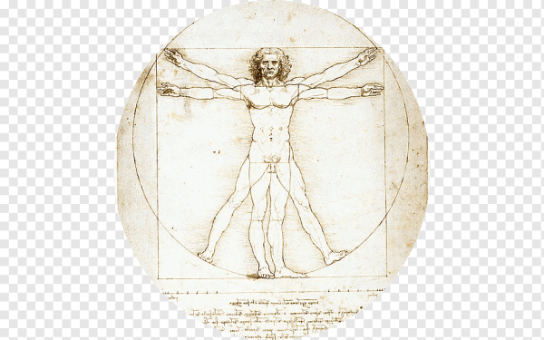 Леонардо да Винчи Витрувианский человек