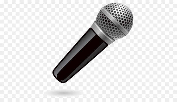 Shure sm55