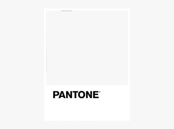 Pantone белый