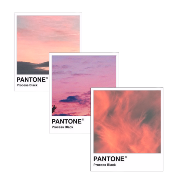 Pantone картинки