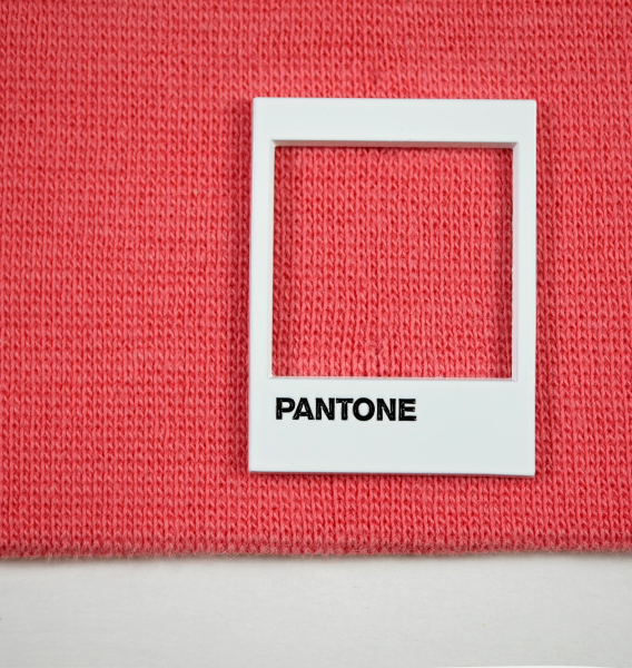 Белая рамка Pantone