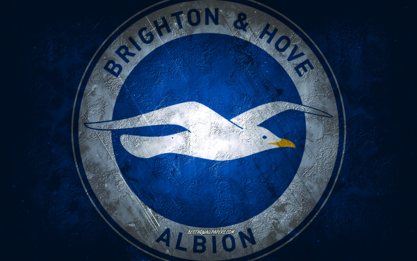 Brighton hove Albion FC