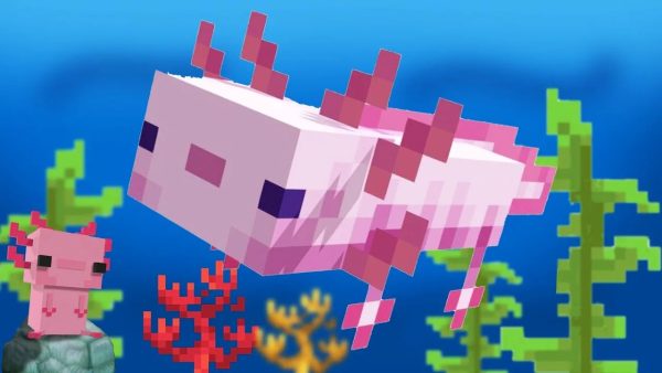 Аксолотль майнкрафт 1.17.1
