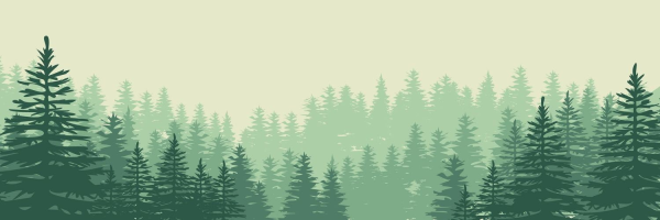 Лес векторное изображение