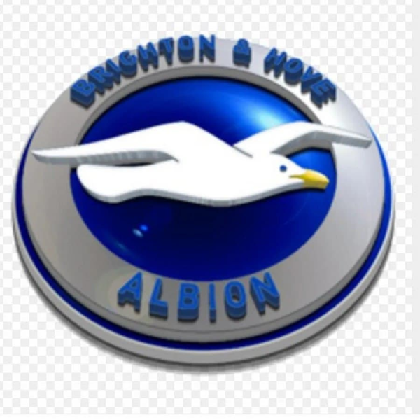 Футбольный клуб Брайтон энд Хоув Альбион