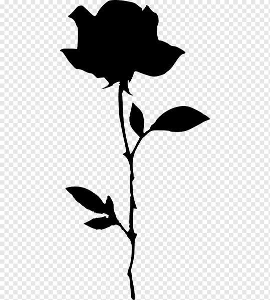 Роза силуэт