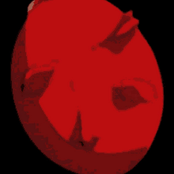 Бехелит Гриффита