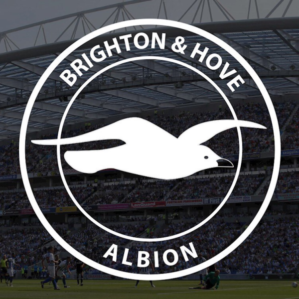 Футбольный клуб Брайтон энд Хоув Альбион