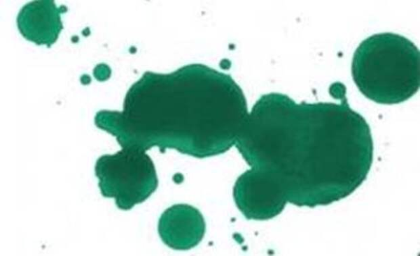 Зеленое пятно