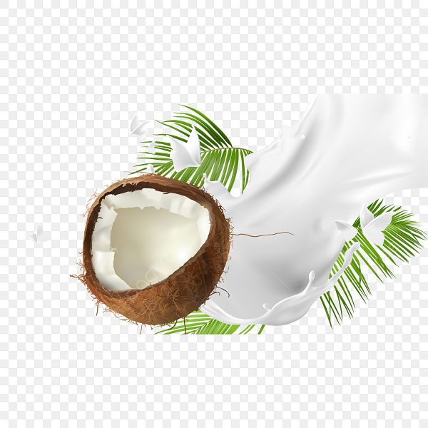 Кокос без фона