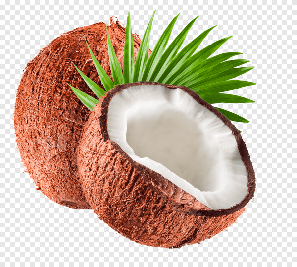 Кокос на белом фоне