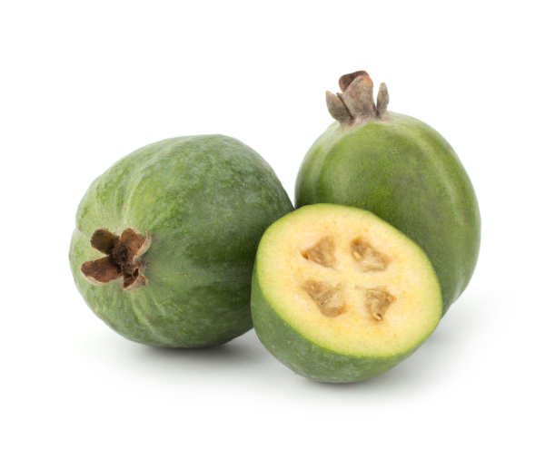 Feijoa sellowiana ACCA, фейхоа