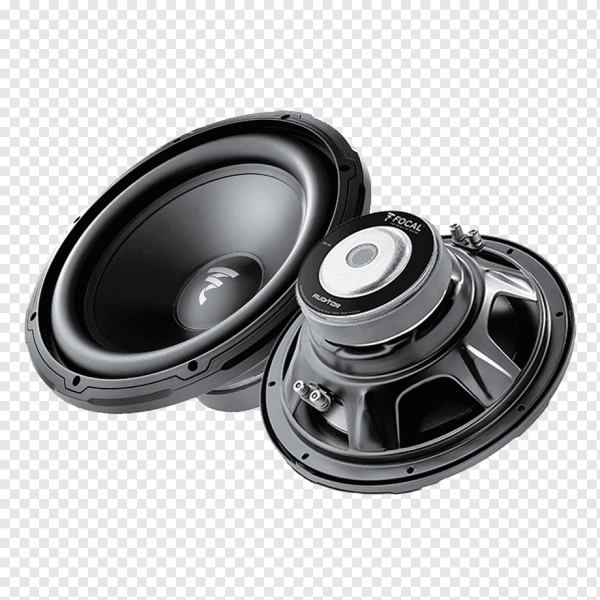 Focal Auditor RSB-300