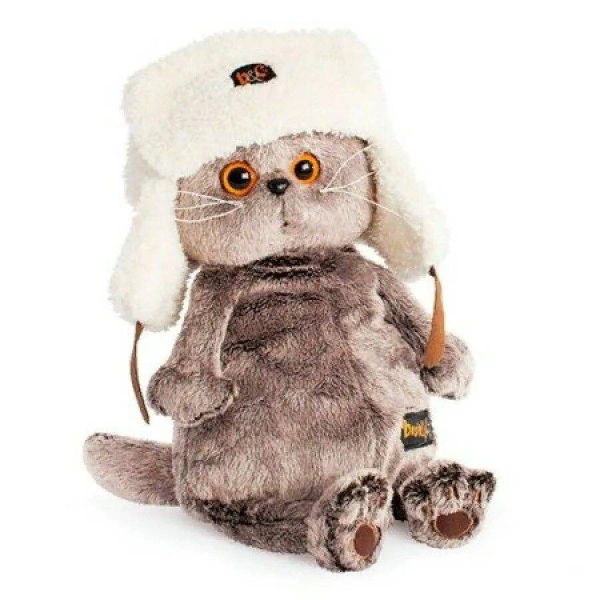 Кот Басик в шапке ушанке