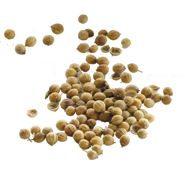 Круглые семена