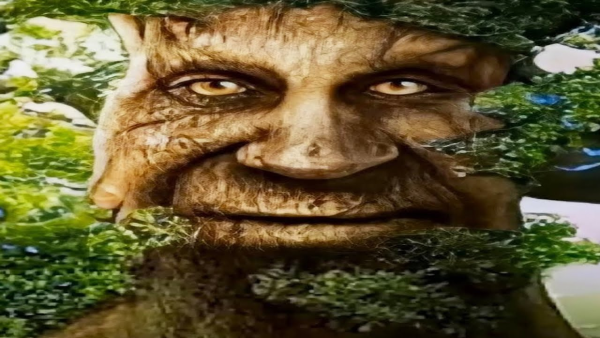 Живое дерево