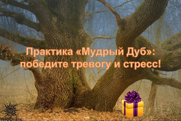 Мудрый дуб Мудрый