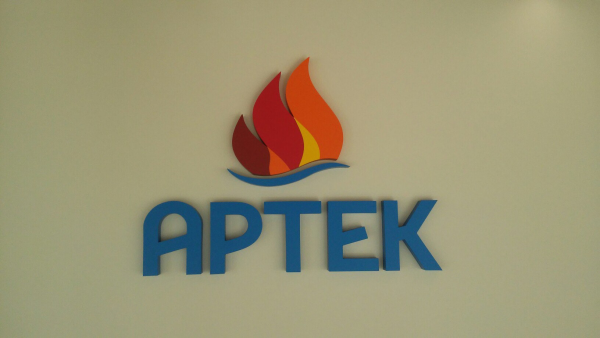 МДЦ Артек эмблема