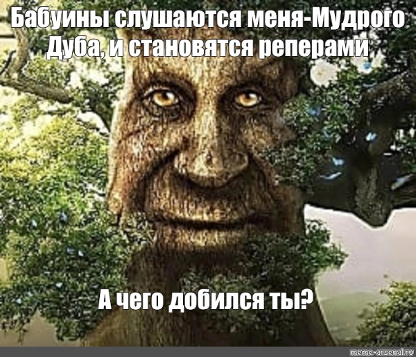 Мудрый дуб