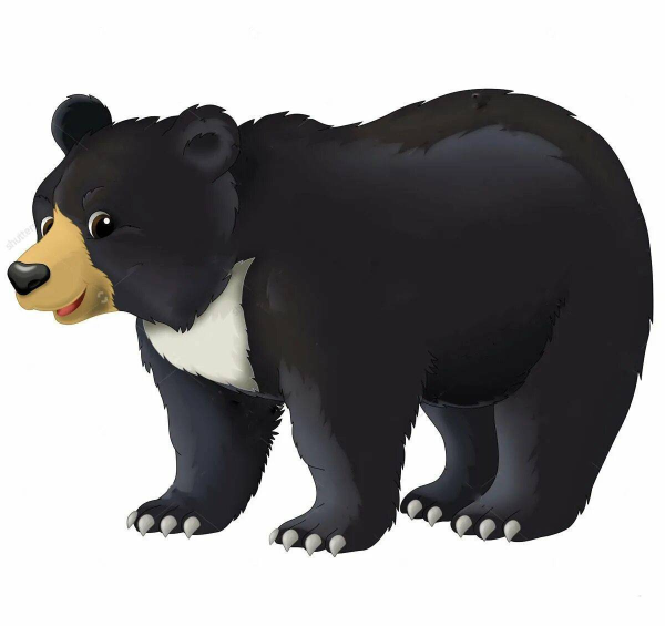 Медведь для детей на прозрачном фоне